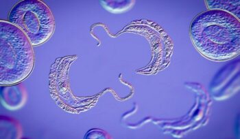 Sleeping sickness virus|WHO logo