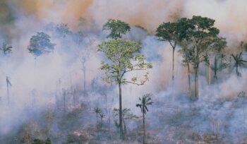 Amazon rainforest burning
