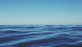The sea