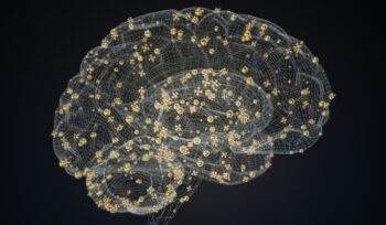 Illustration of brain