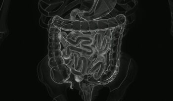 Illustration of intestines