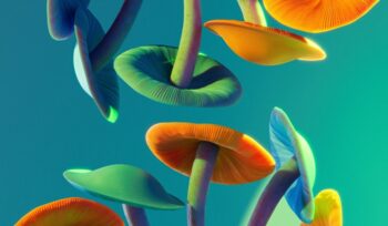 Mushrooms